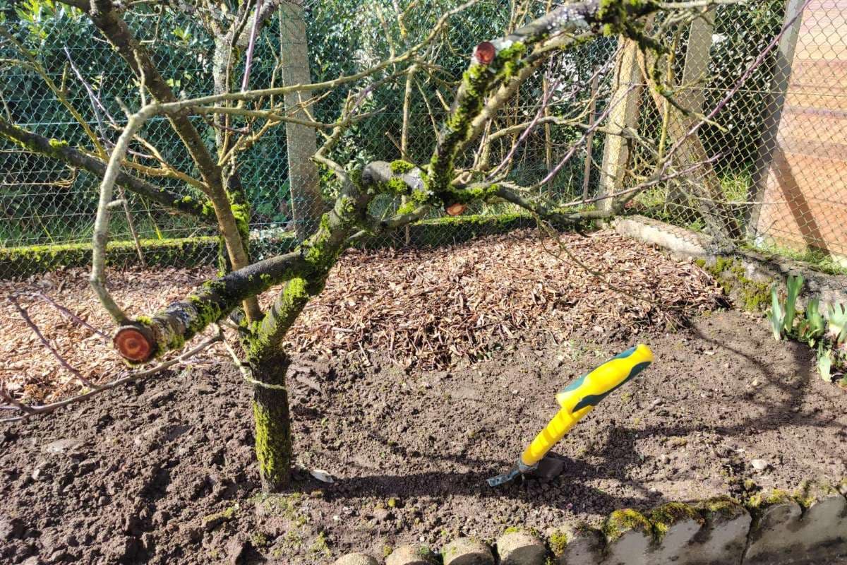 Préparation Printanière à Anglet_5