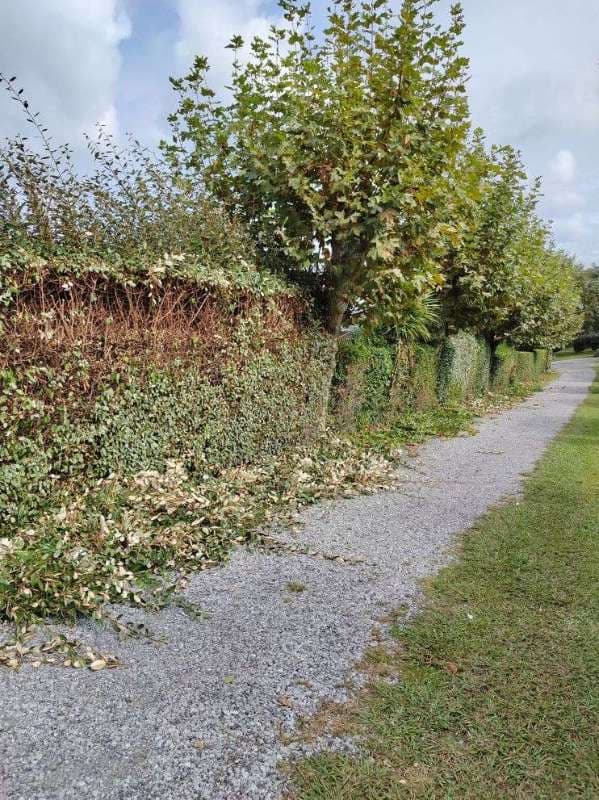 Entretien de Campings à Saint-Jean-de-Luz_12