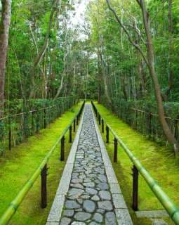 Pose d'allées pavées ou de chemins_photo