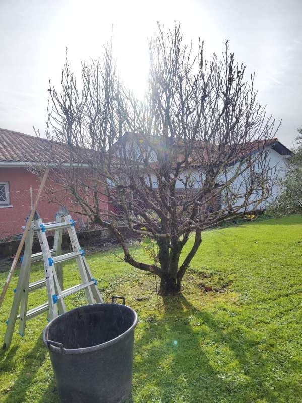 Préparation Printanière à Anglet_0