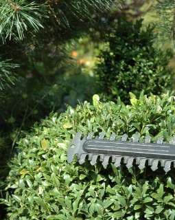 Taille d'Arbres et Arbustes_photo