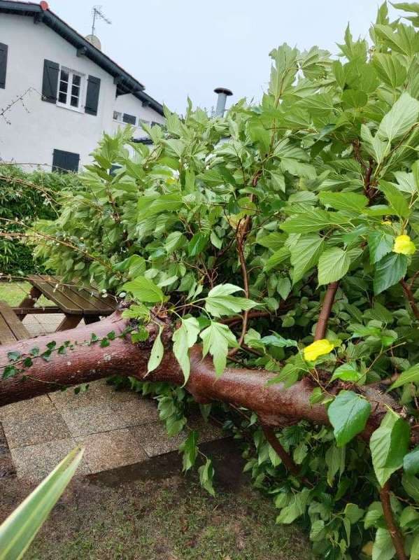 Entretien de Campings à Saint-Jean-de-Luz_9