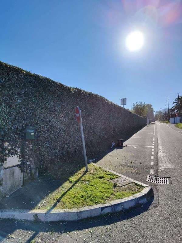 Entretien de Campings à Saint-Jean-de-Luz_20