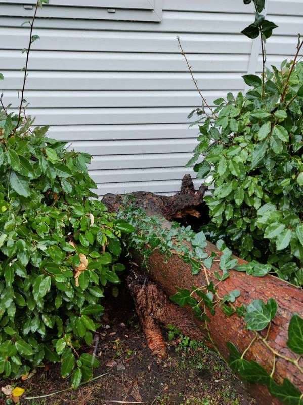 Entretien de Campings à Saint-Jean-de-Luz_8