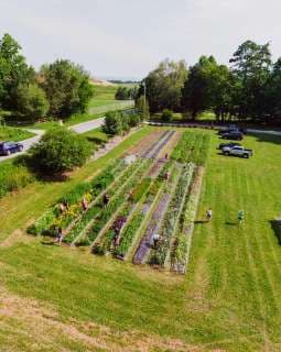 Création de plans de plantation_photo