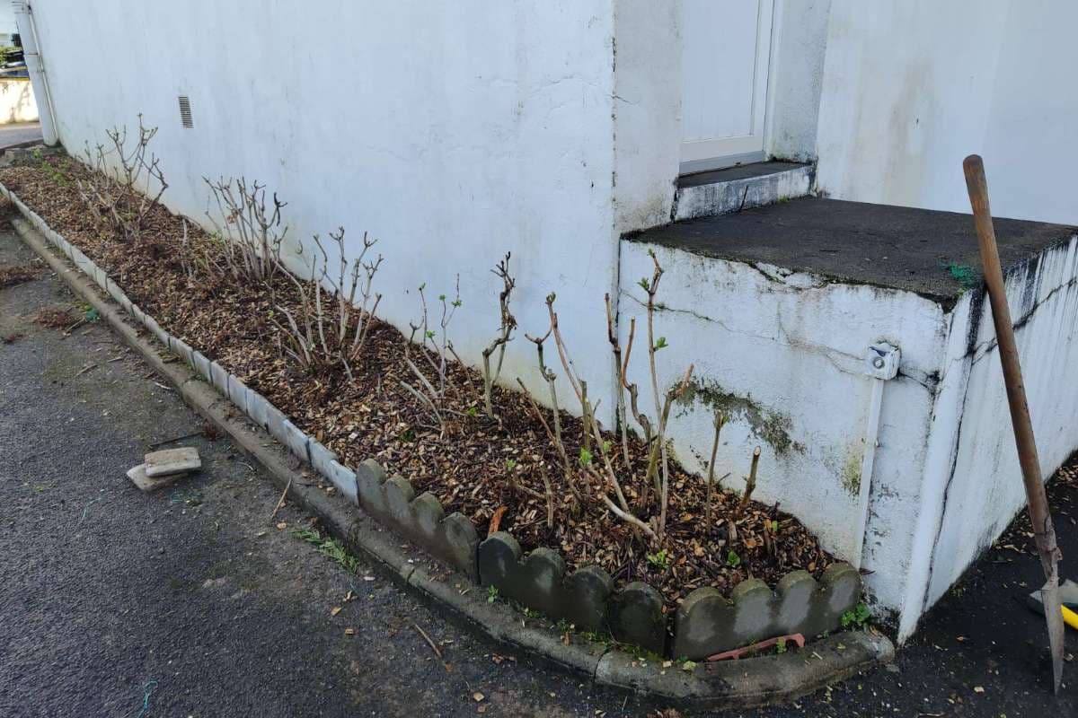 Préparation Printanière à Anglet_7