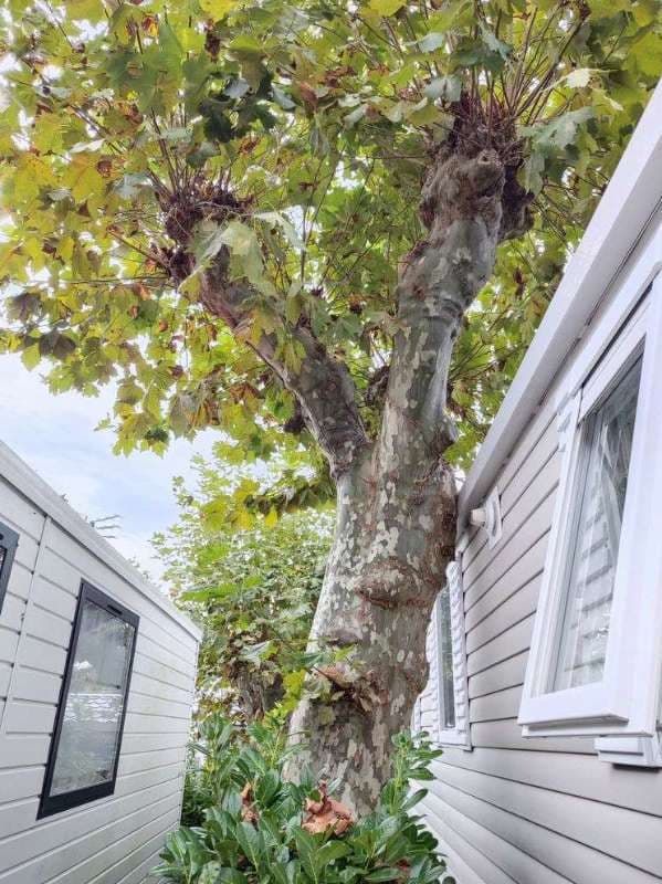 Entretien de Campings à Saint-Jean-de-Luz_21