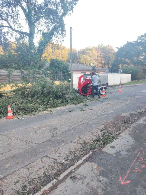 Elagage de chênes lièges à Tarnos - PARTIE 1_2