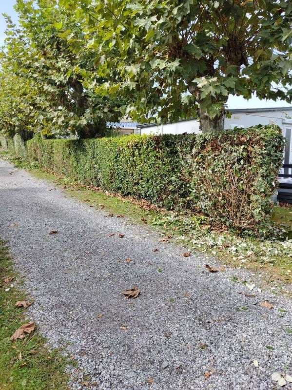 Entretien de Campings à Saint-Jean-de-Luz_13