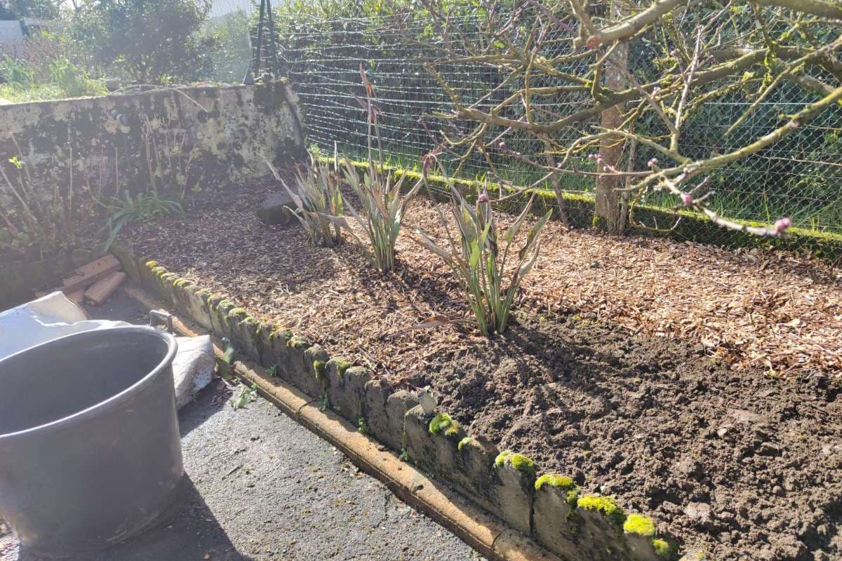 Préparation Printanière à Anglet_8