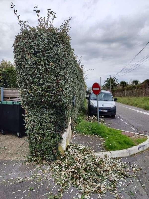 Entretien de Campings à Saint-Jean-de-Luz_17