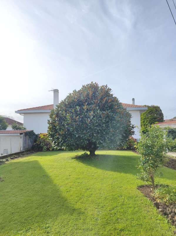 Préparation Printanière à Anglet_1