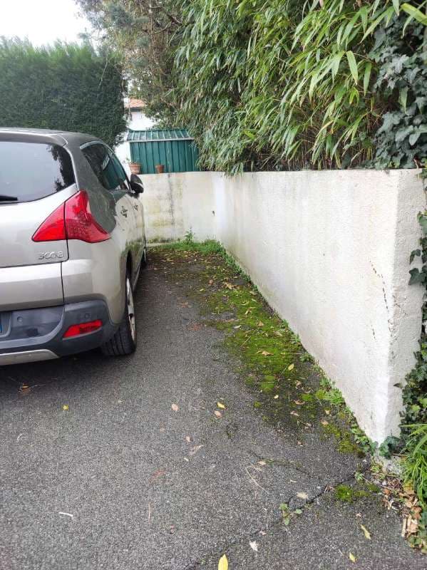 Entretien Complet de Jardin et Parking à Boucau _3