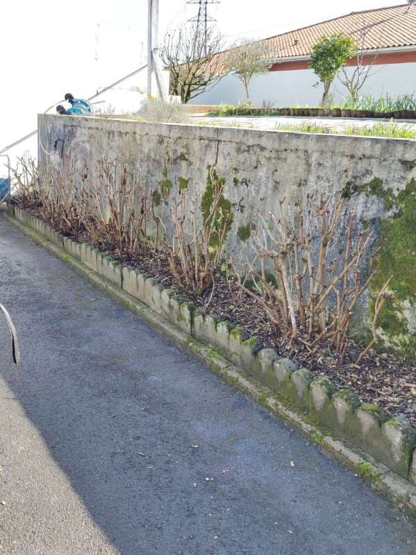 Préparation Printanière à Anglet_6