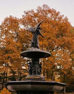 Installation d'Ornements Paysagers_photo