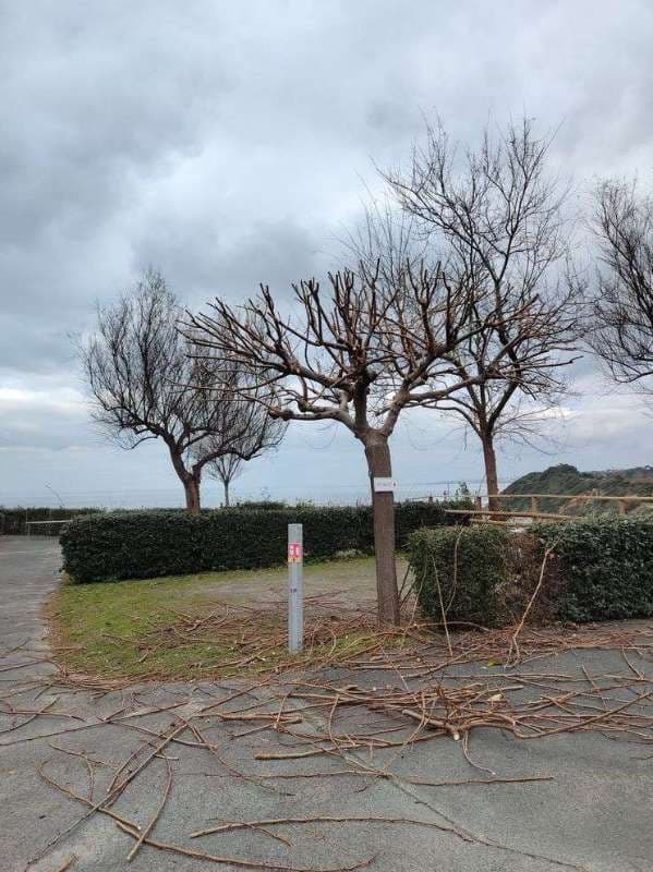 Entretien de Campings à Saint-Jean-de-Luz_27