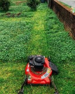 Tonte de pelouses_photo