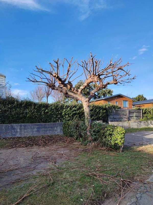 Entretien de Campings à Saint-Jean-de-Luz_24