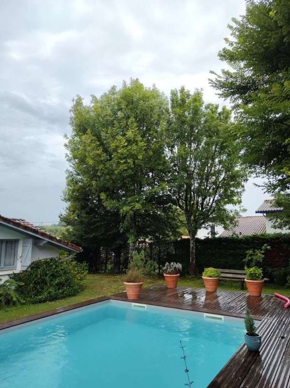 Abattage d'Arbres à Anglet_1