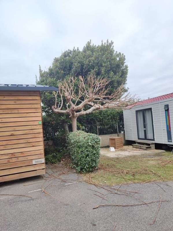 Entretien de Campings à Saint-Jean-de-Luz_26