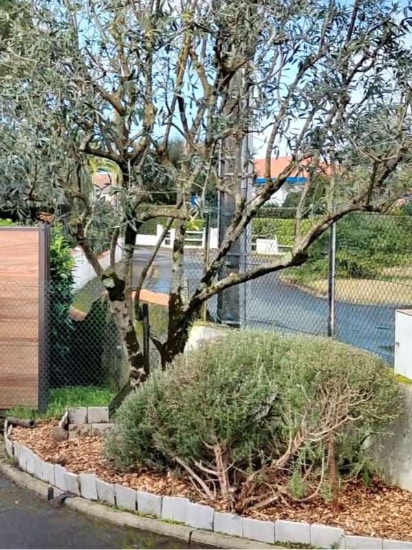 Préparation Printanière à Anglet_11