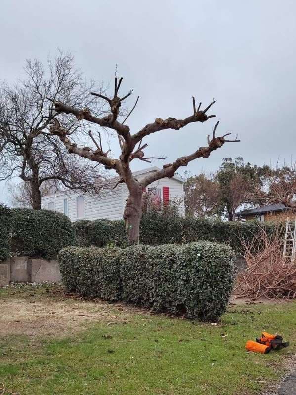 Entretien de Campings à Saint-Jean-de-Luz_23