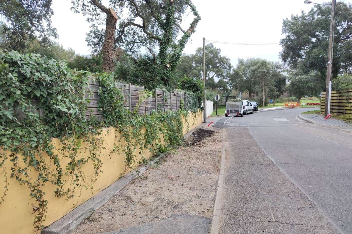 Elagage de chênes lièges à Tarnos - PARTIE 1_5